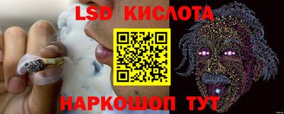 гашик Кулебаки