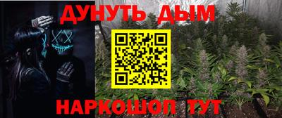 гашик Кулебаки
