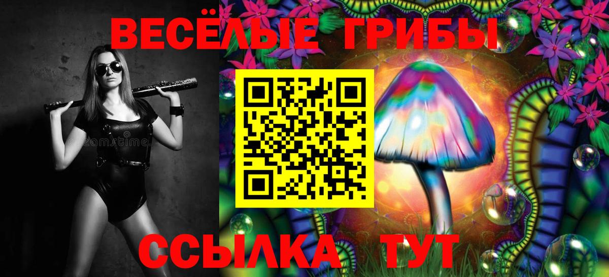 Псилоцибиновые грибы Psilocybe  Вход с VPN  Екатеринбург  Псилоцибиновые грибы MAGIC MUSHROOMS 
