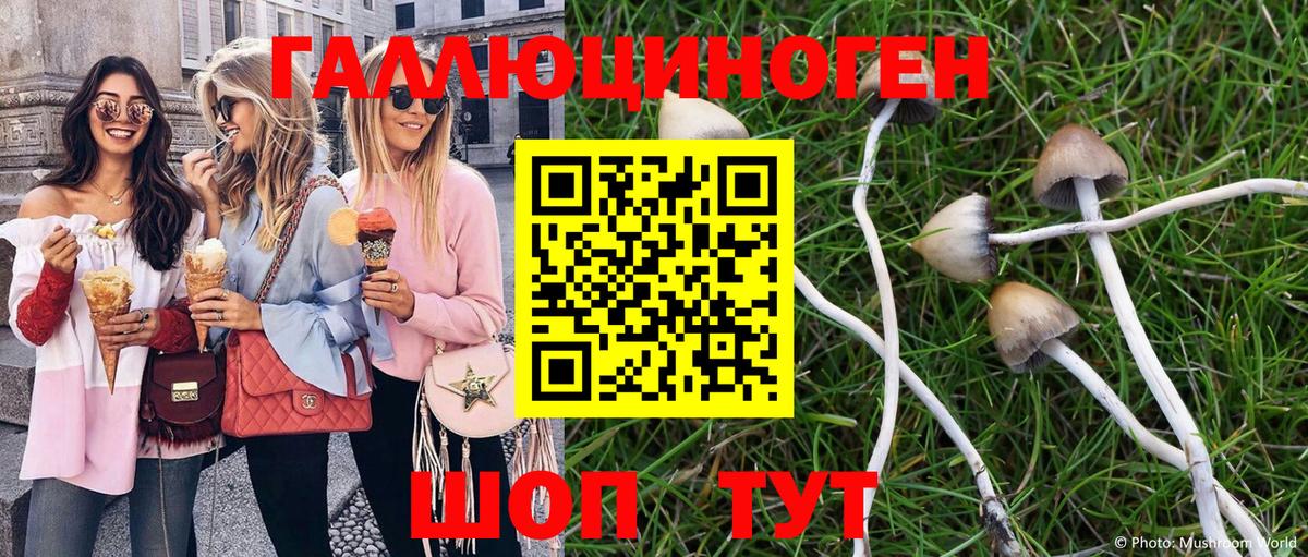 Псилоцибиновые грибы мухоморы Екатеринбург